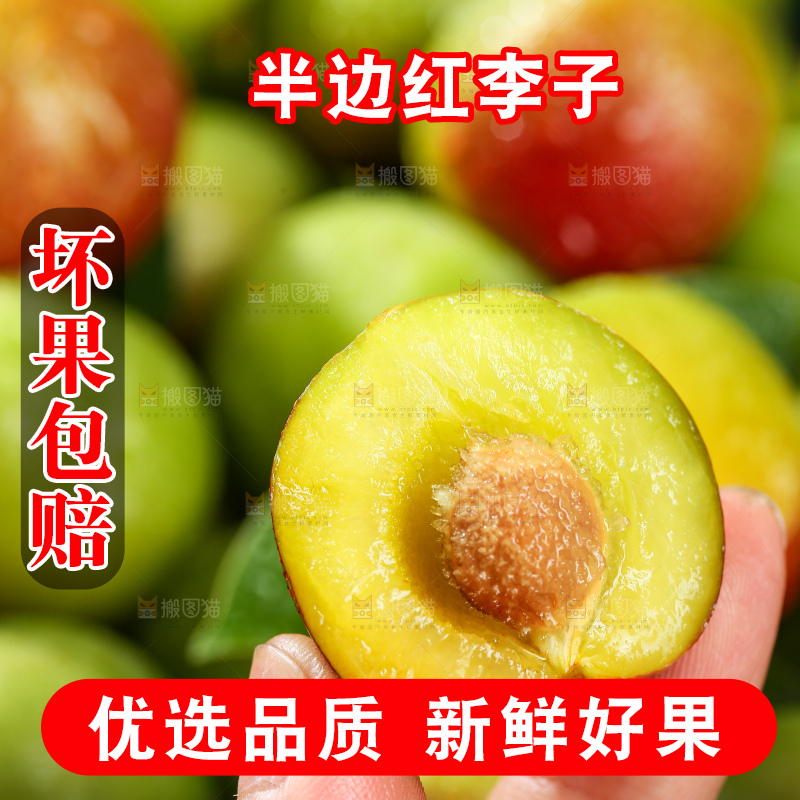 木底上的茵红脱骨李