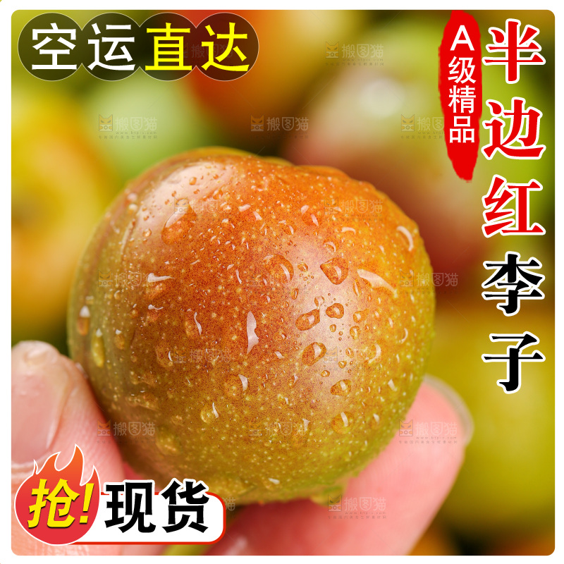 深底上的半边红脱骨李