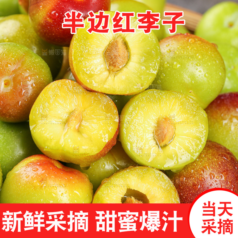 深底上的半边红脱骨李