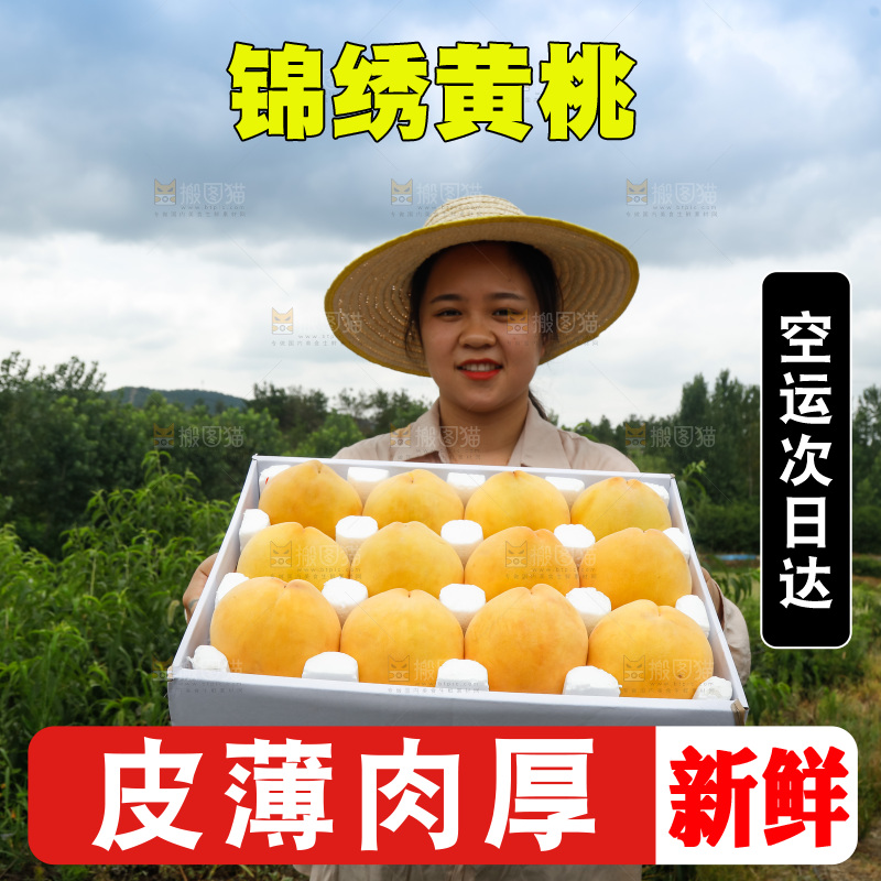 手里拿着奉贤锦绣黄桃