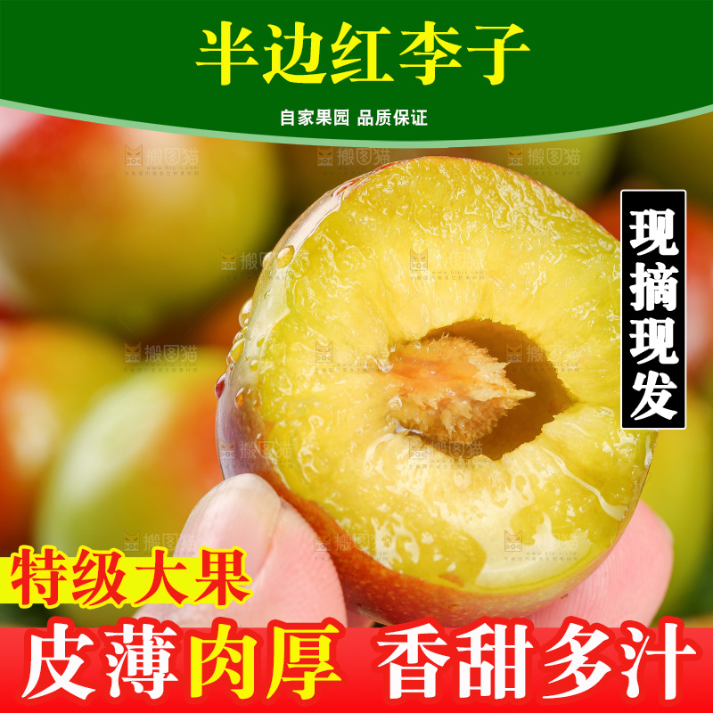 浅底上的茵红李