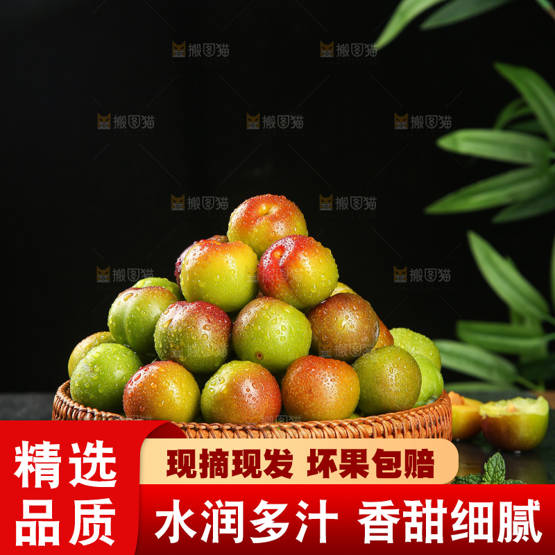 深底上的半边红脱骨李
