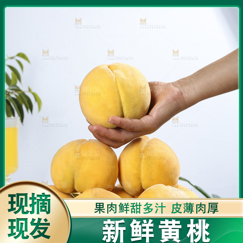 浅底上的奉贤黄桃