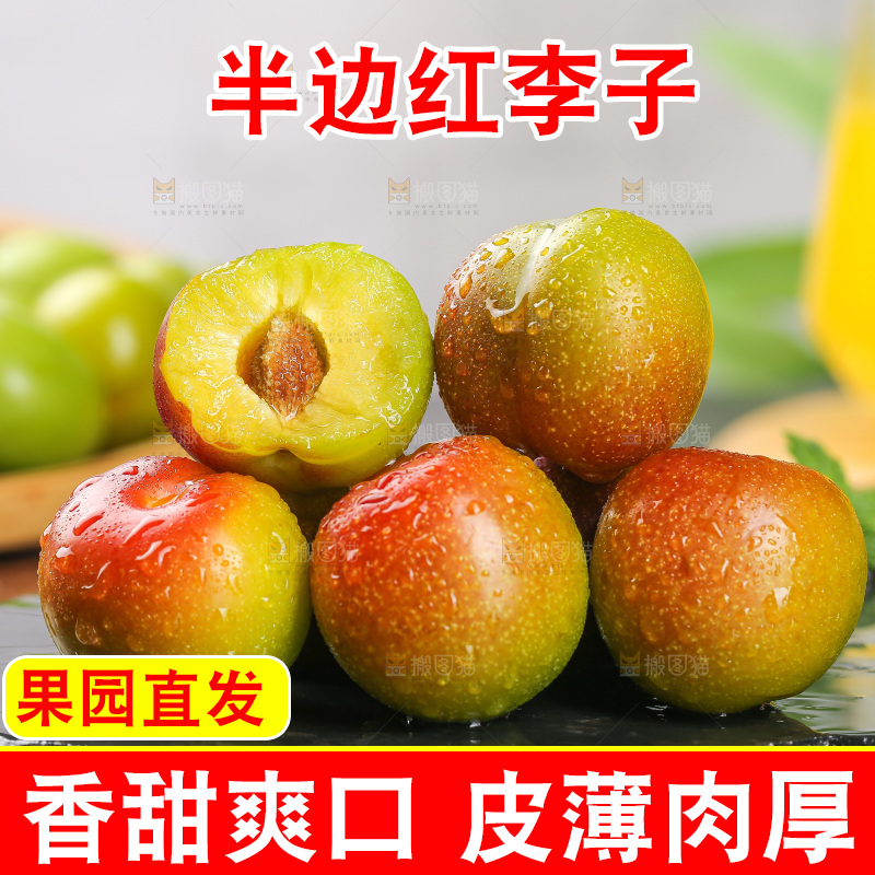 深底上的半边红脱骨李
