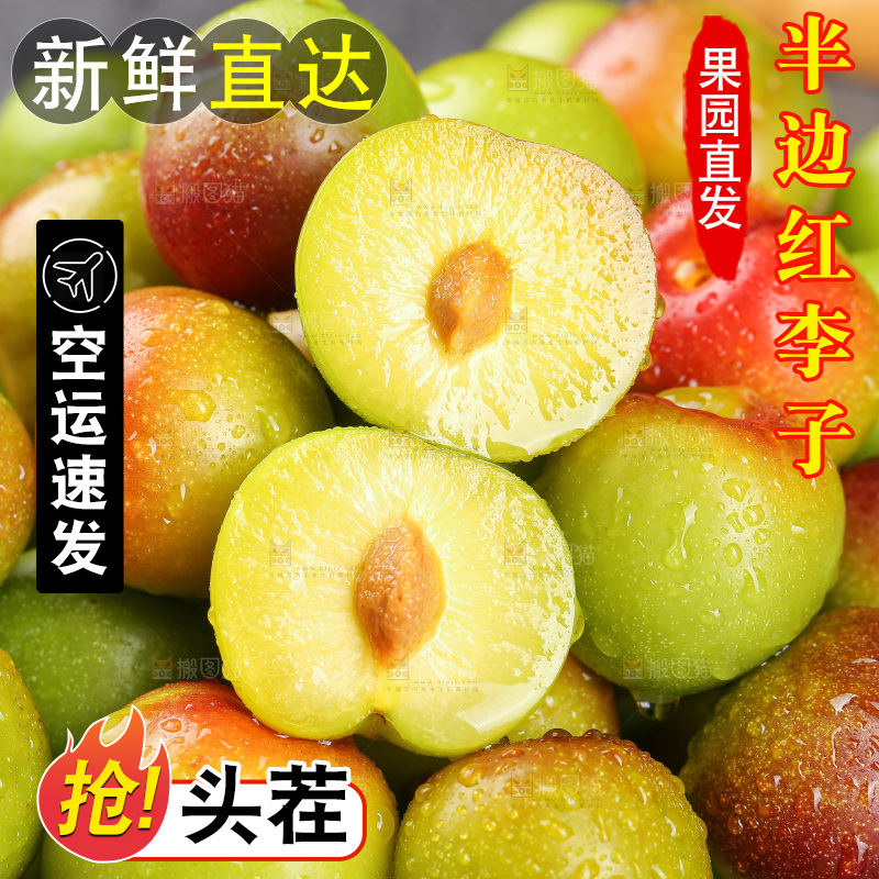 深底上的半边红脱骨李