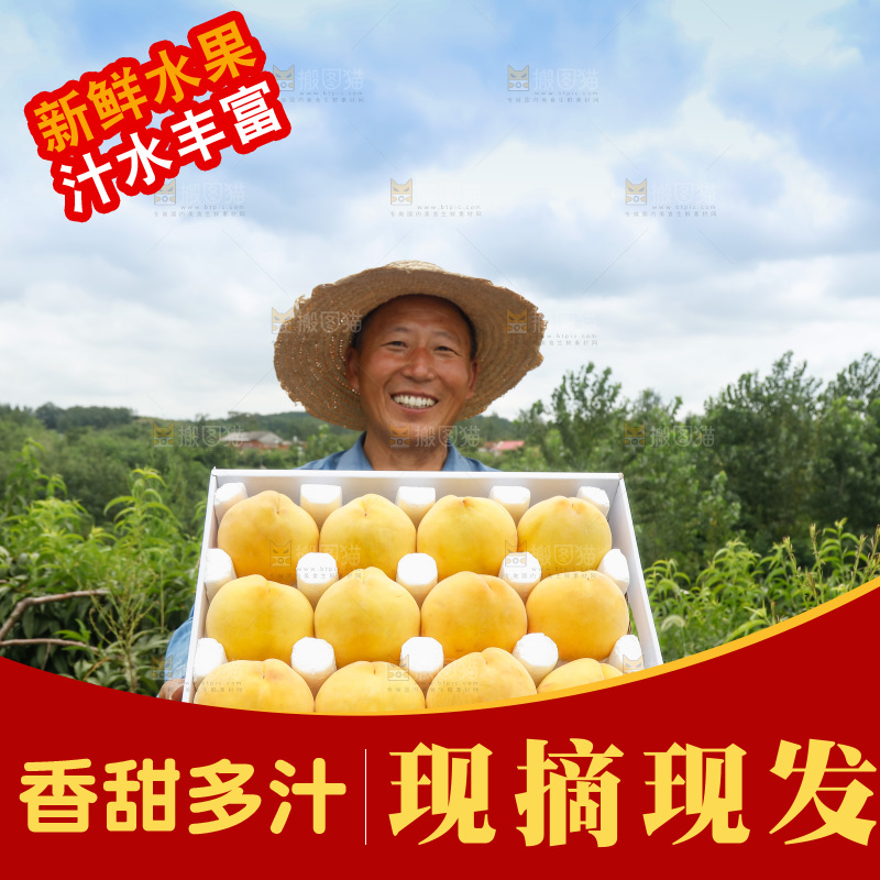 手里拿着奉贤锦绣黄桃