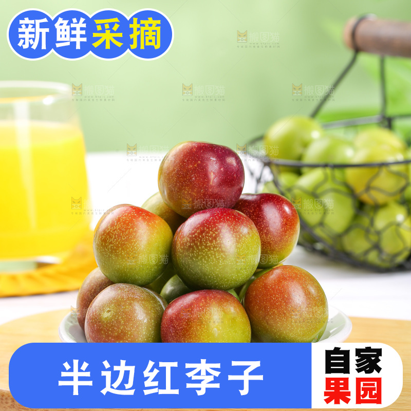 浅底上的茵红李