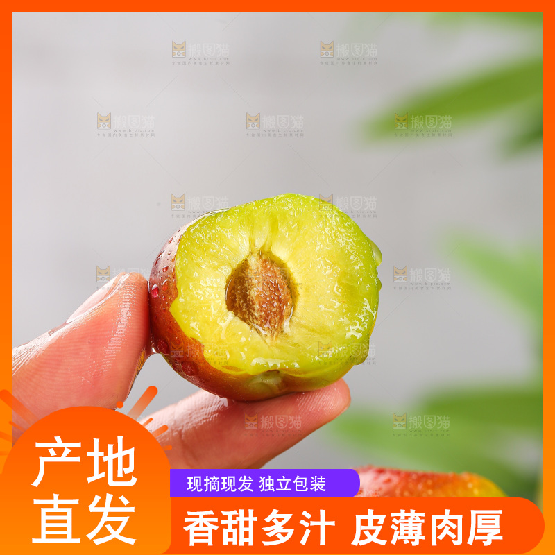 深底上的半边红脱骨李