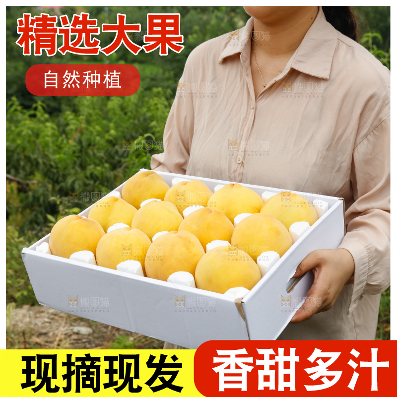 手里拿着奉贤锦绣黄桃