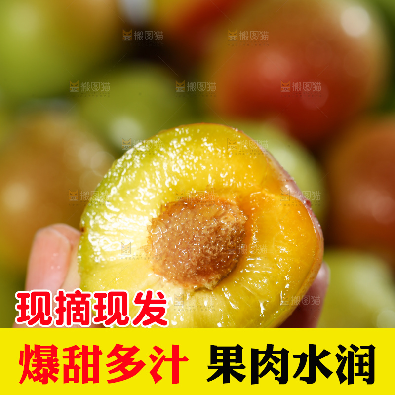 浅底上的半边红李子