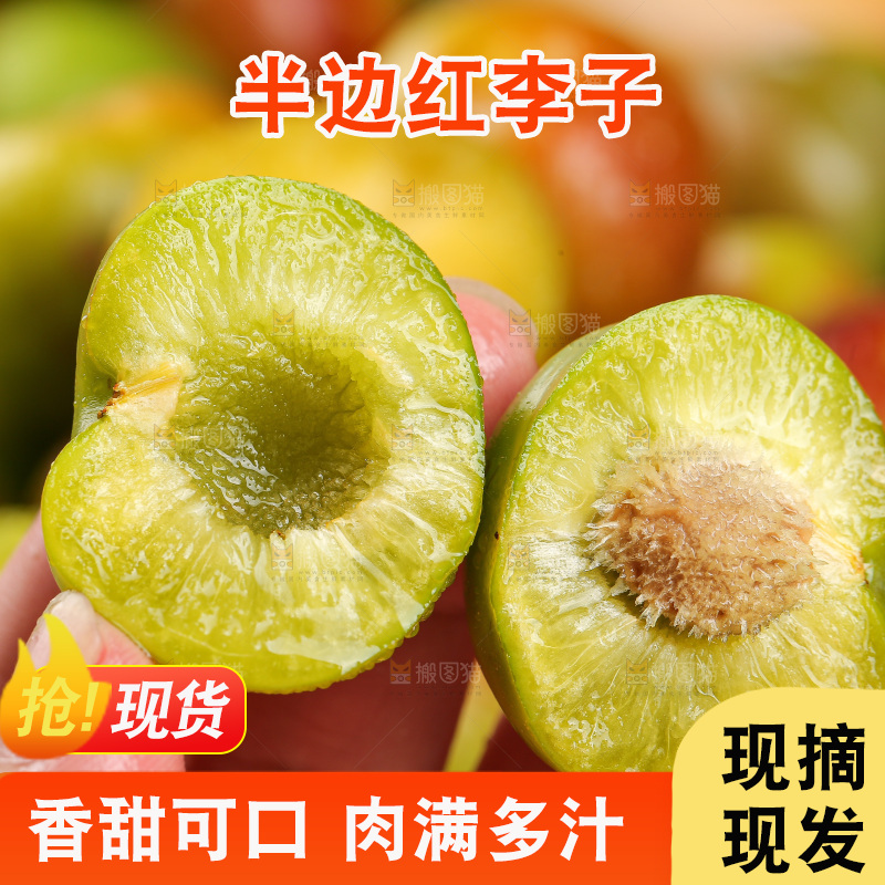 深底上的半边红脱骨李