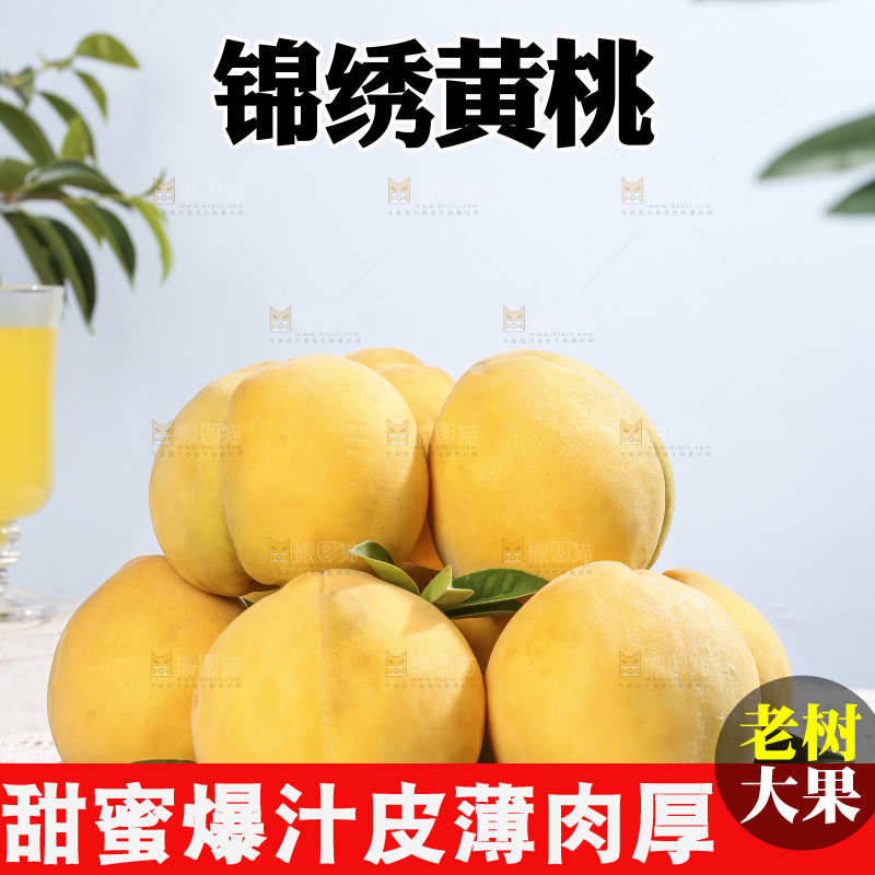 浅底上的奉贤黄桃