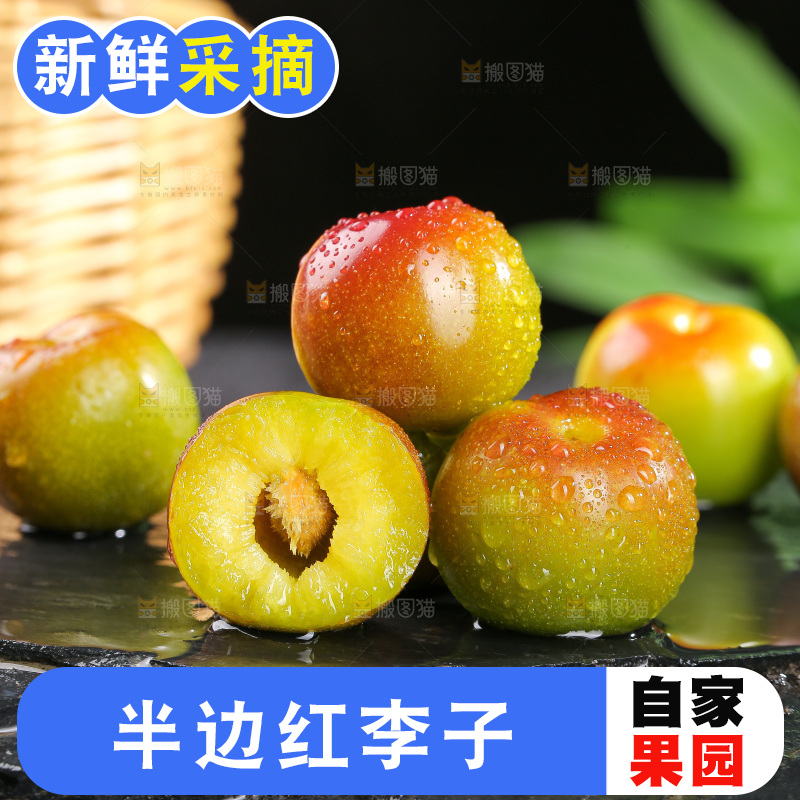 深底上的半边红脱骨李