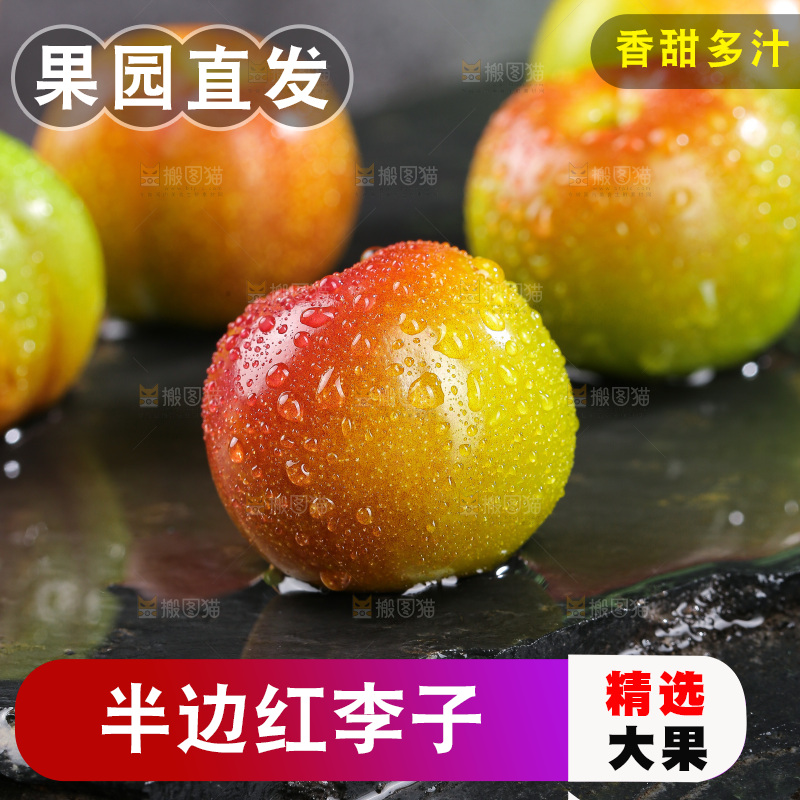 半边红脱骨李主图