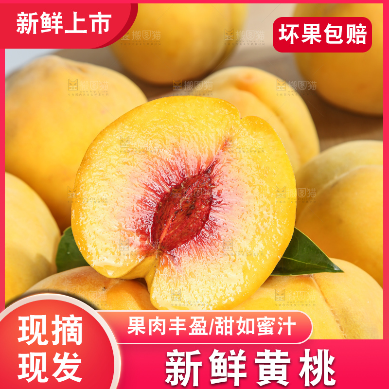 浅底上的奉贤黄桃