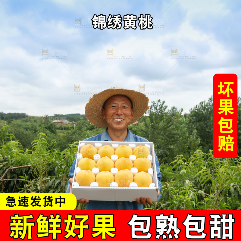 手里拿着奉贤锦绣黄桃