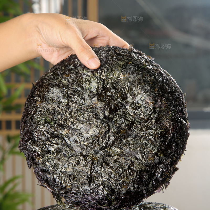 手里拿着大块紫菜