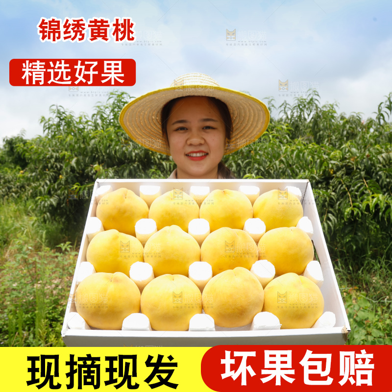 手里拿着奉贤锦绣黄桃
