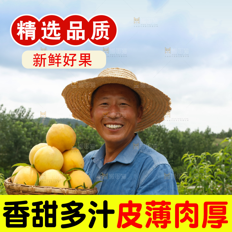 手里拿着奉贤锦绣黄桃