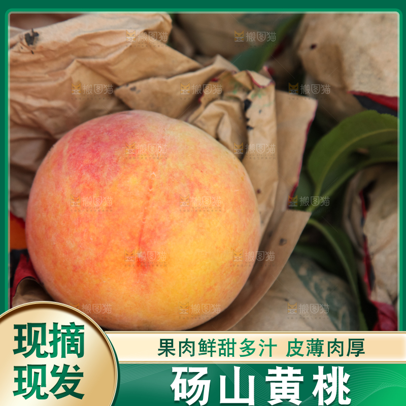 手里拿着黄毛桃