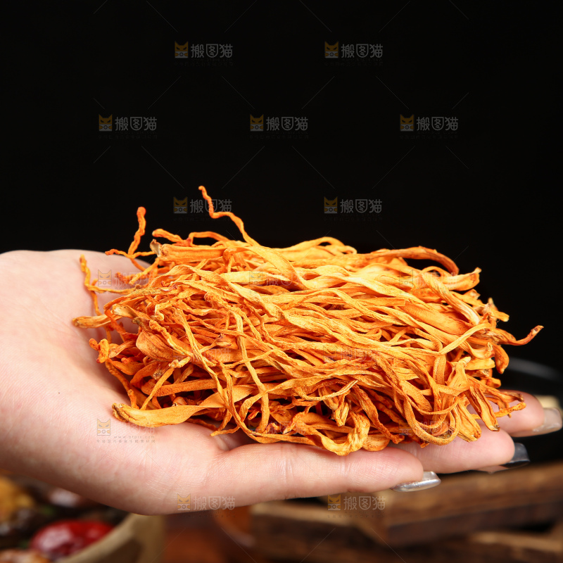 木底上的七彩菌菇