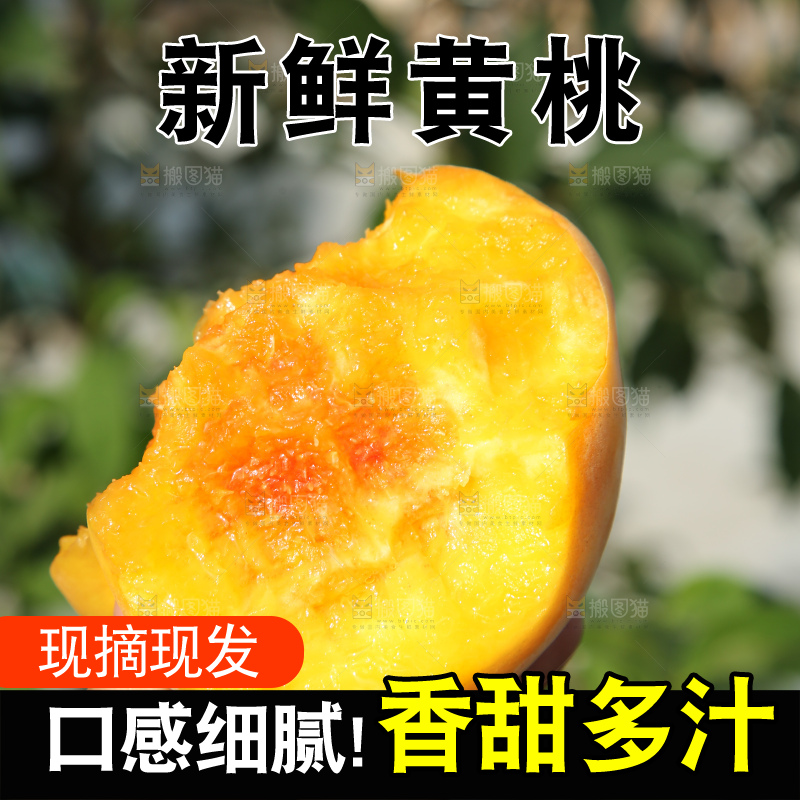 手里拿着锦绣黄桃