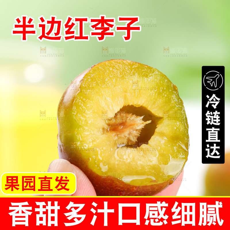 浅底上的茵红李