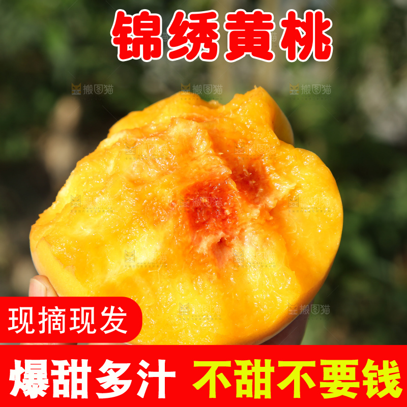 手里拿着锦绣黄桃