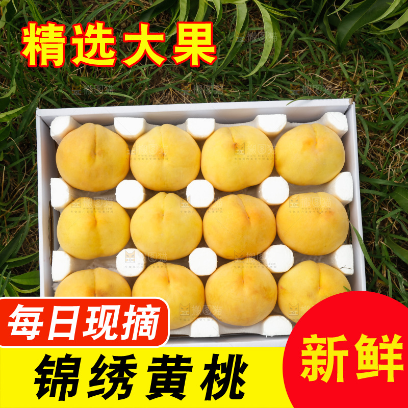 手里拿着奉贤锦绣黄桃