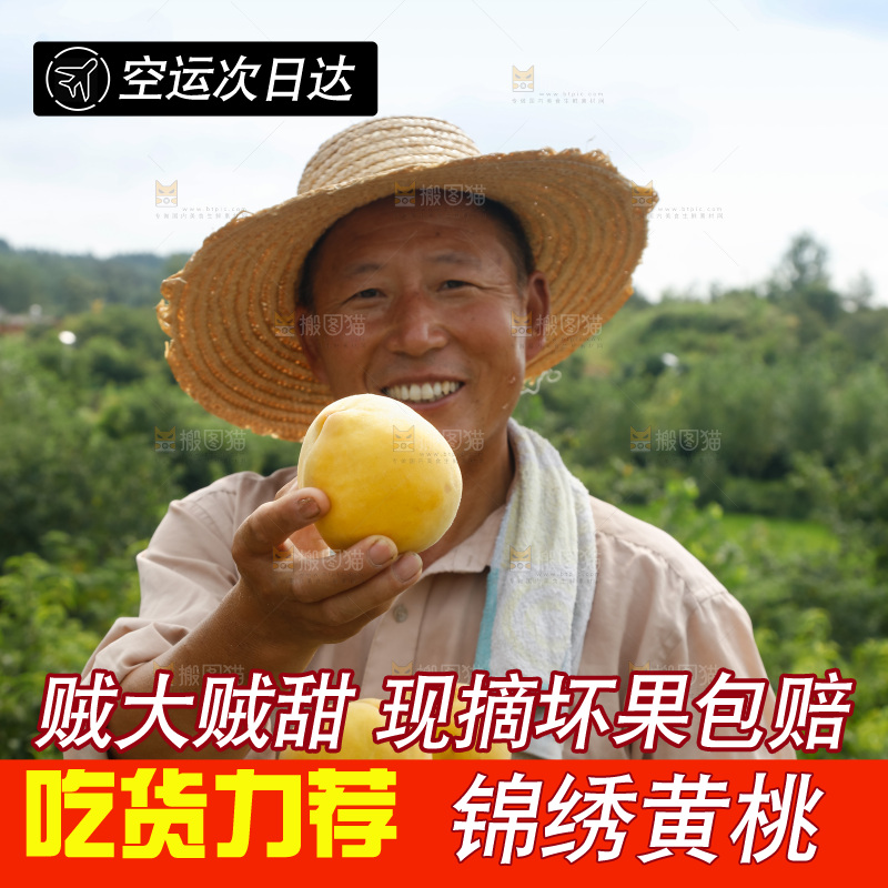 手里拿着奉贤锦绣黄桃
