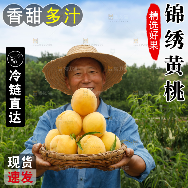 手里拿着奉贤锦绣黄桃