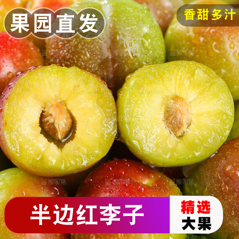 浅底上的茵红李