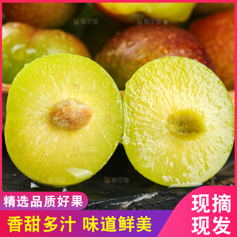 半边红脱骨李主图