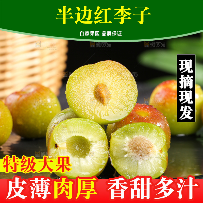 深底上的半边红脱骨李
