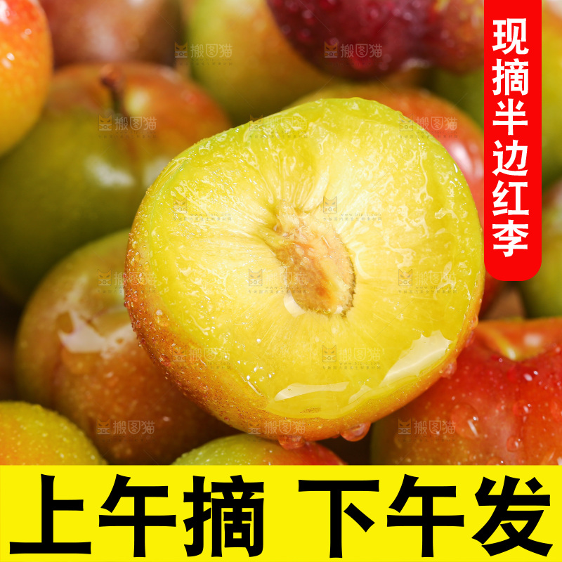 浅底上的茵红李