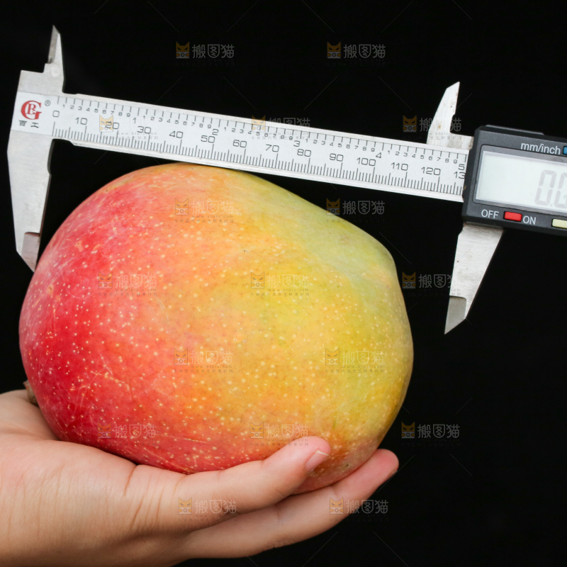 手里拿着彩虹芒