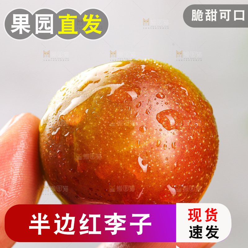 深底上的半边红脱骨李