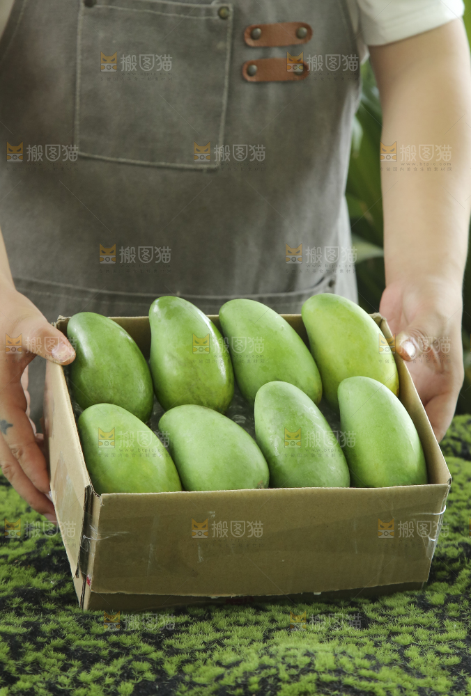 手里拿着象牙芒
