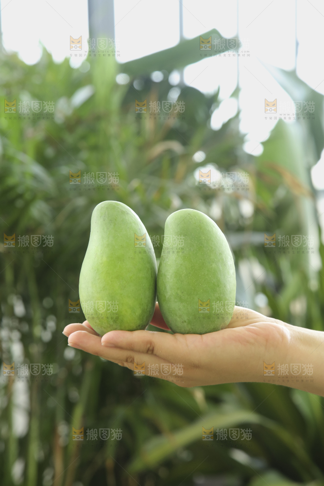 手里拿着象牙芒