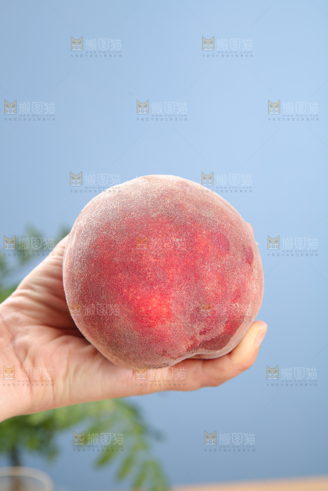 手里拿着血桃