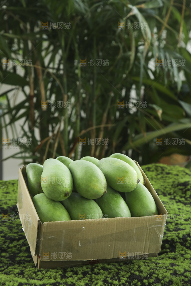 木底上的象牙芒