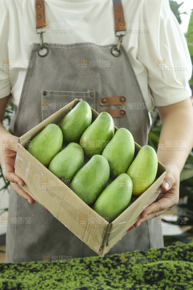 手里拿着象牙芒