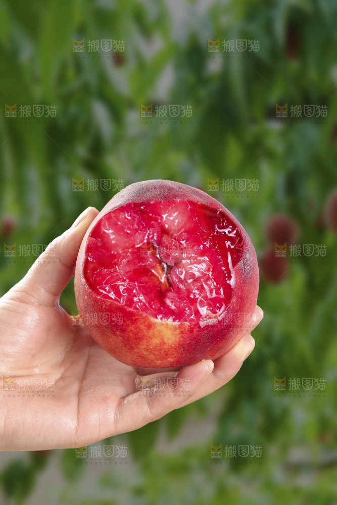 手里拿着血桃