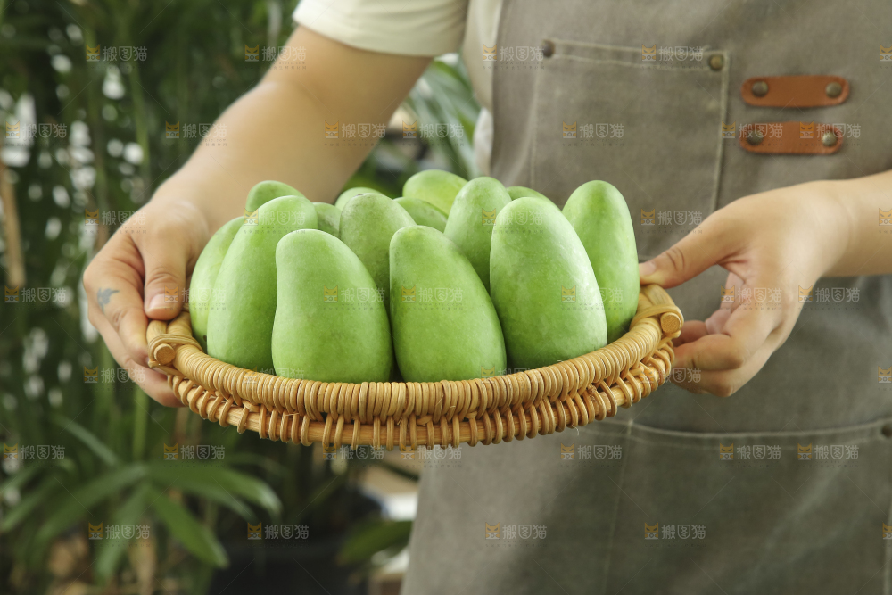 手里拿着象牙芒