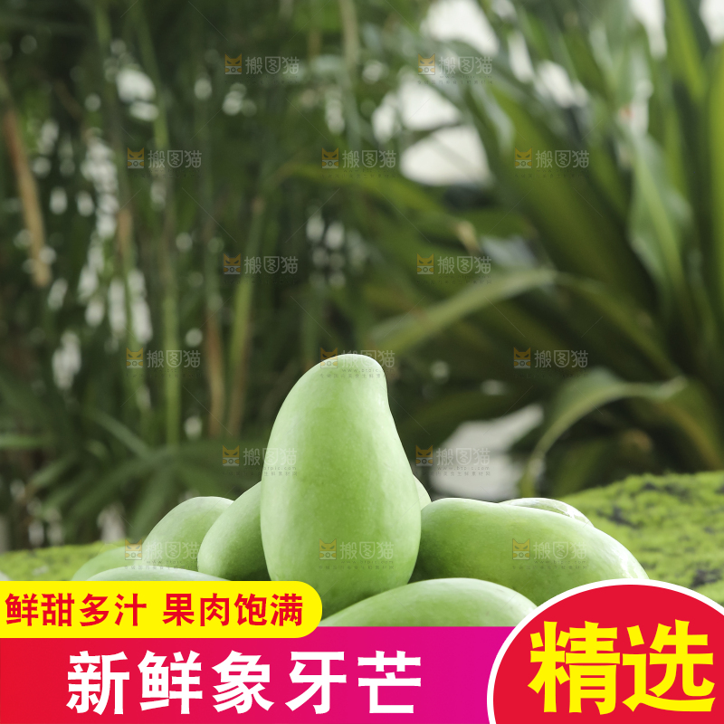 木底上的象牙芒