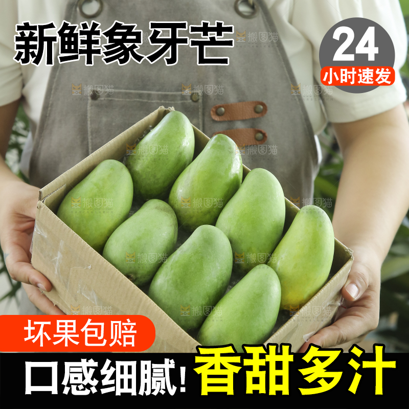 手里拿着象牙芒