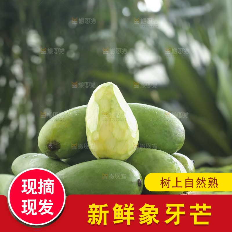 木底上的象牙芒