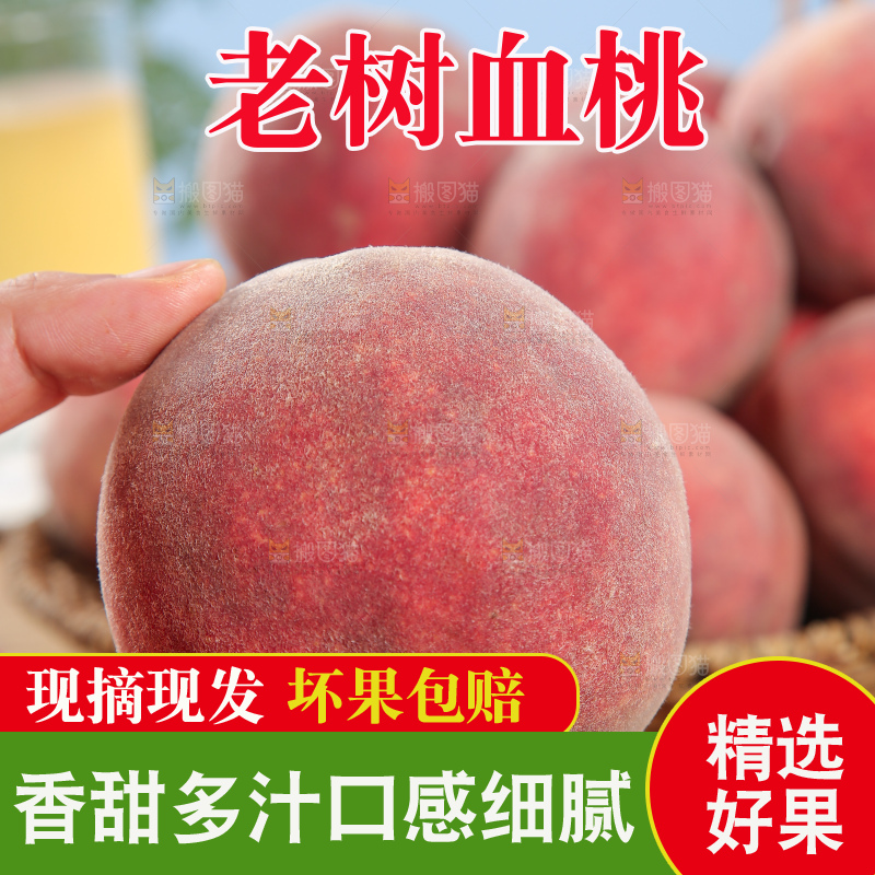 木底上的血桃