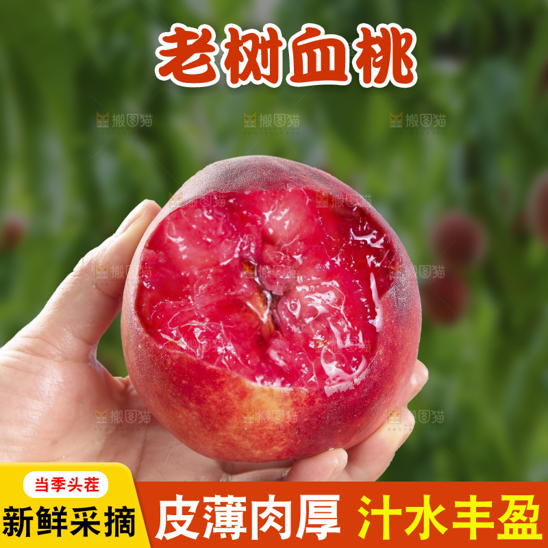 手里拿着血桃