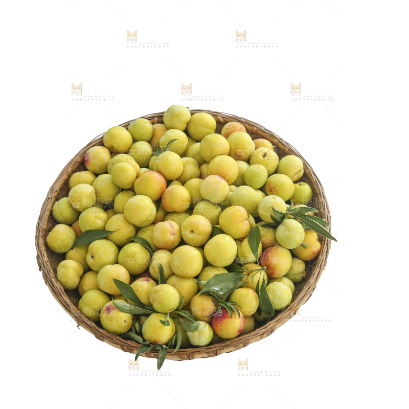 白底上的李子